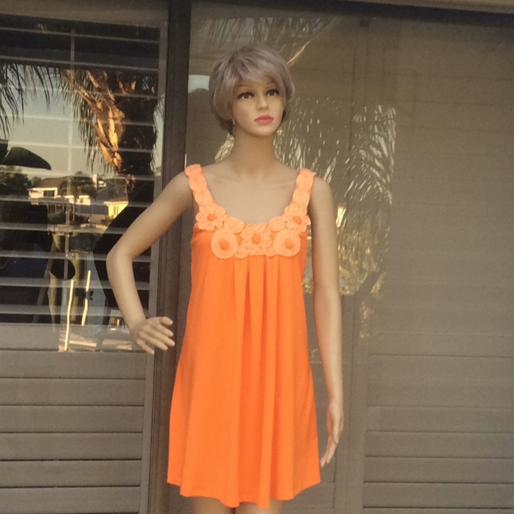 Aggie. Dress size L